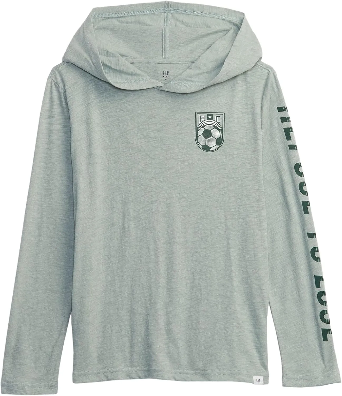 GAP Boys' Graphic Sleeve Hooded Tee T-Shirt